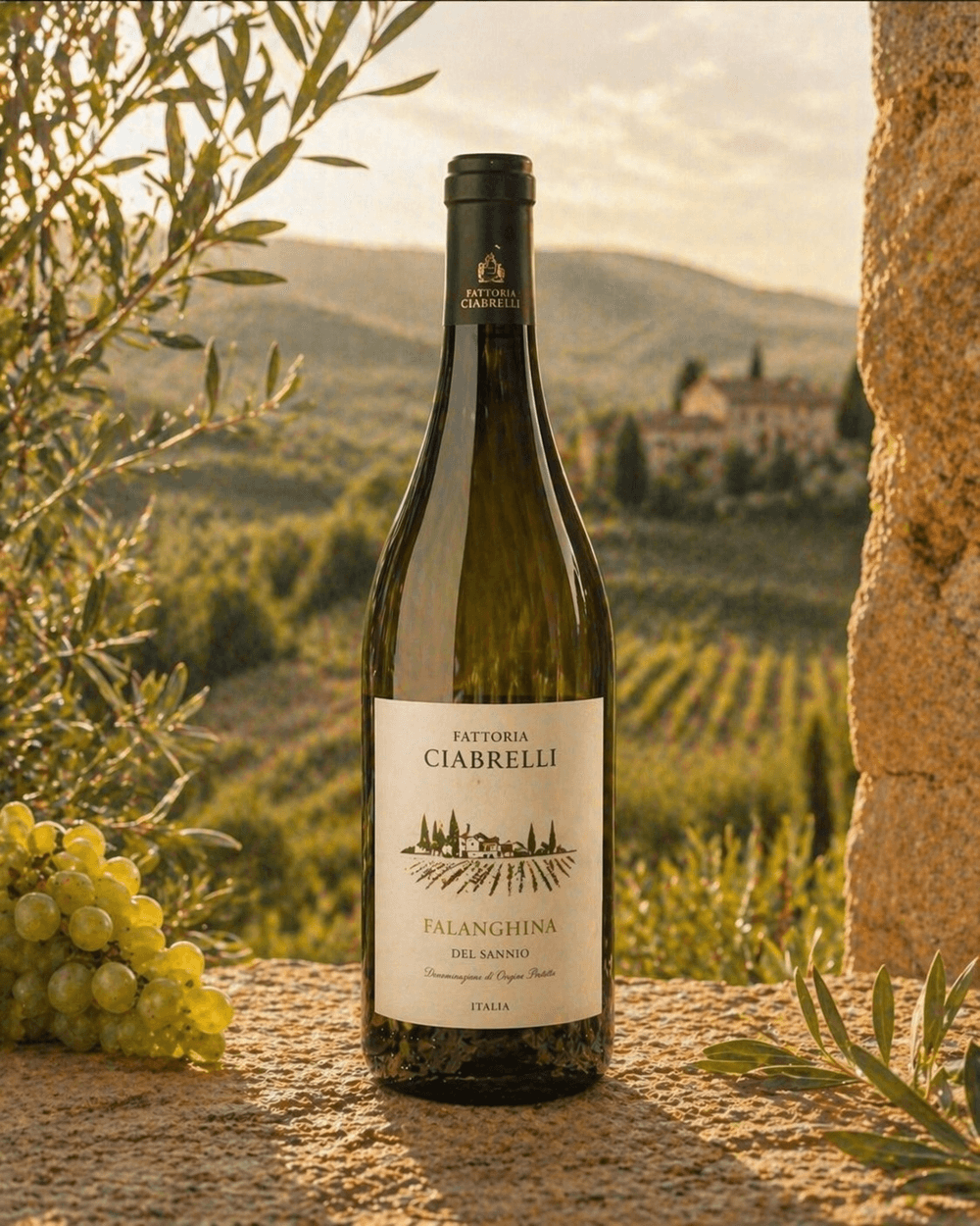 Fattoria Ciabrelli